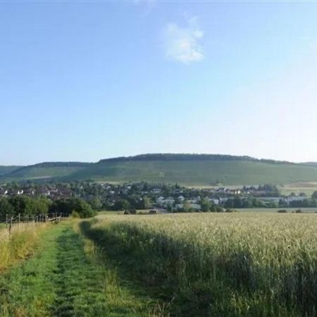 Landpension Wachtkopf Vaihingen-sur-l'Enz Extérieur photo