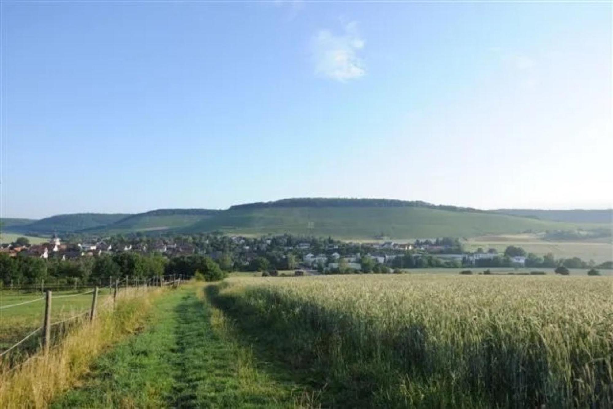 Landpension Wachtkopf Vaihingen-sur-l'Enz Extérieur photo
