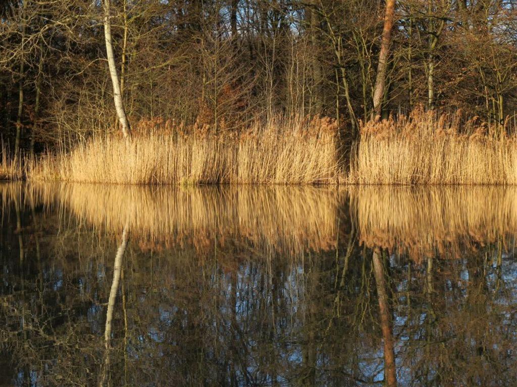 Landpension Wachtkopf Vaihingen-sur-l'Enz Extérieur photo