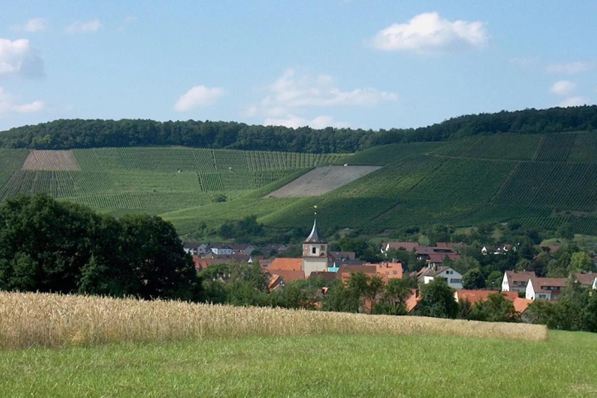 Landpension Wachtkopf Vaihingen-sur-l'Enz Extérieur photo