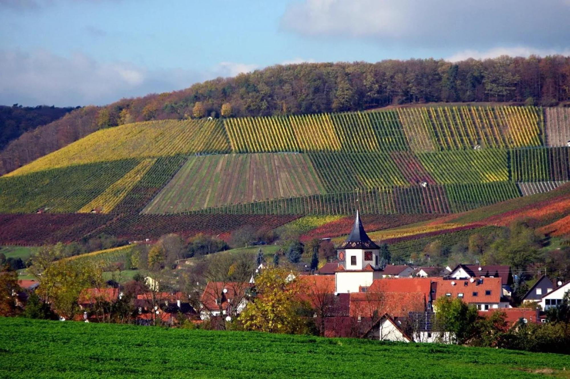 Landpension Wachtkopf Vaihingen-sur-l'Enz Extérieur photo